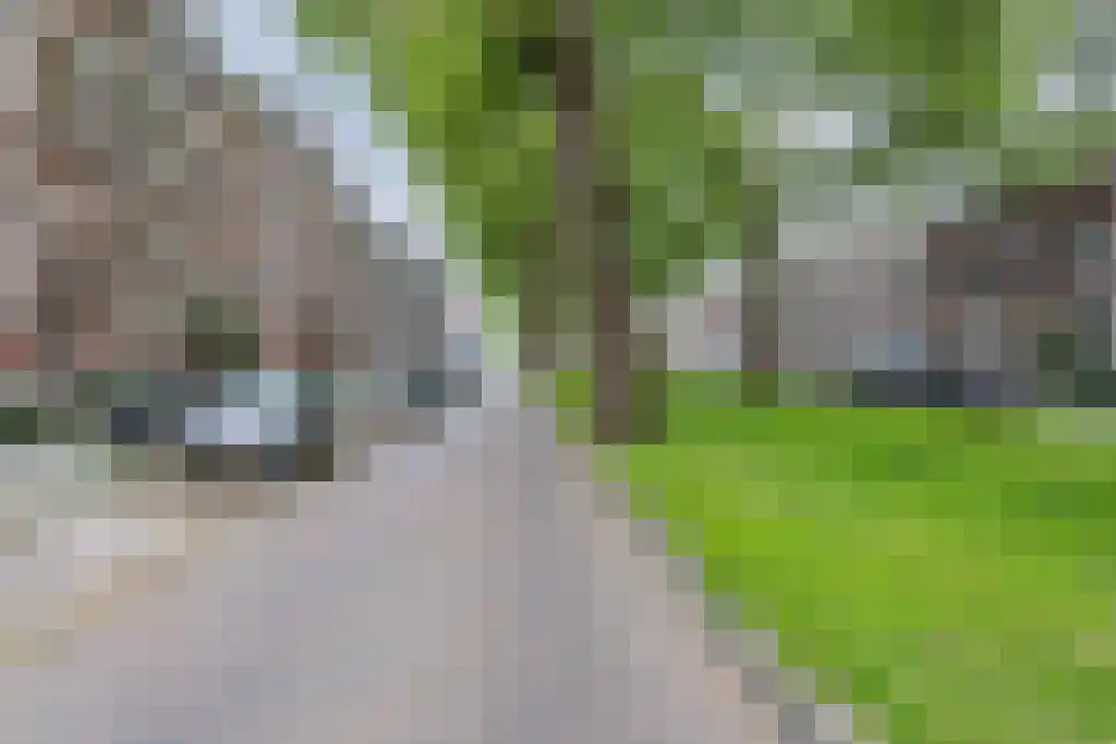 Jericholaan 56 A Rotterdam thumbnail 5