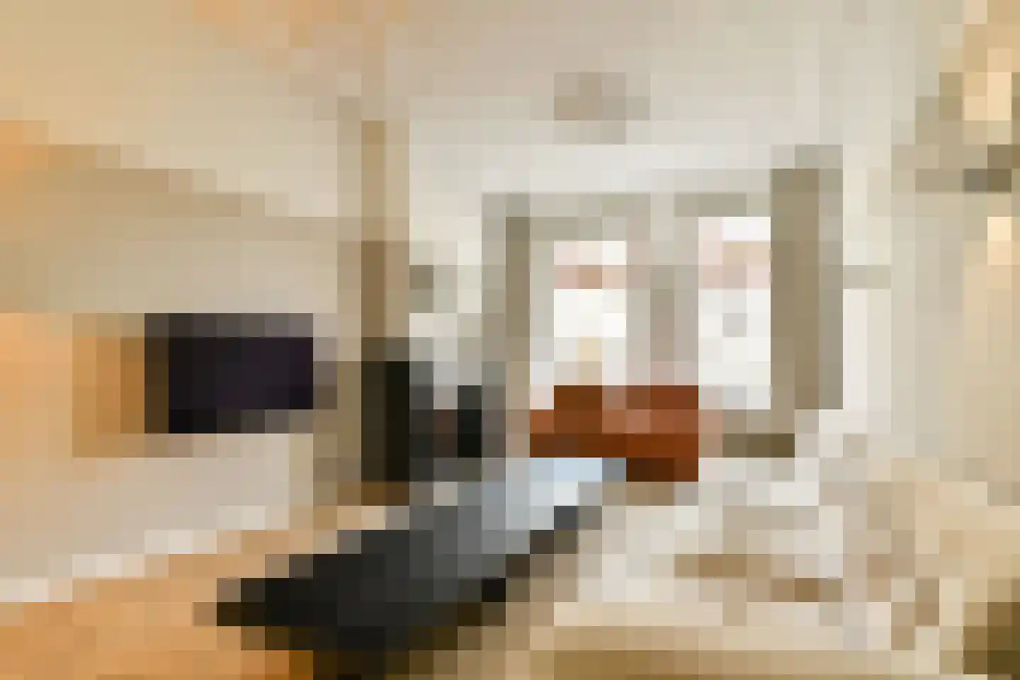 Jericholaan 56 A Rotterdam thumbnail 6