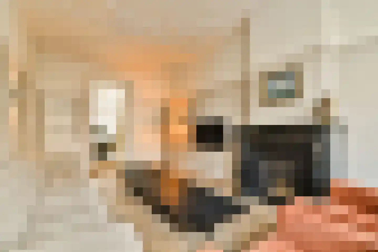 Jericholaan 56 A Rotterdam thumbnail 8