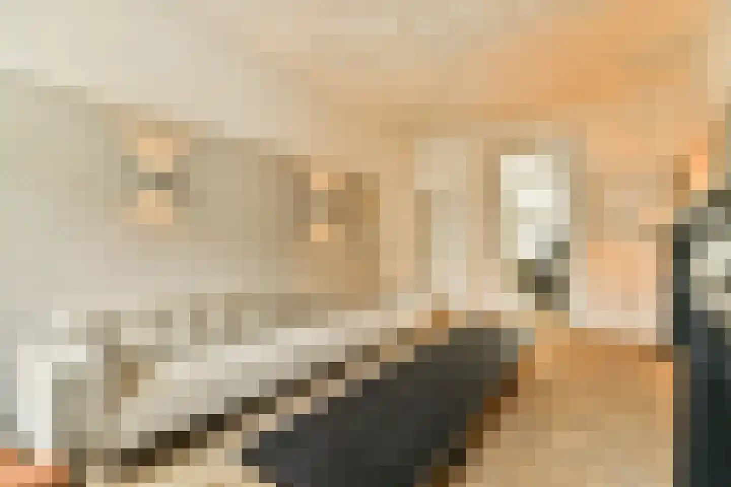 Jericholaan 56 A Rotterdam thumbnail 9