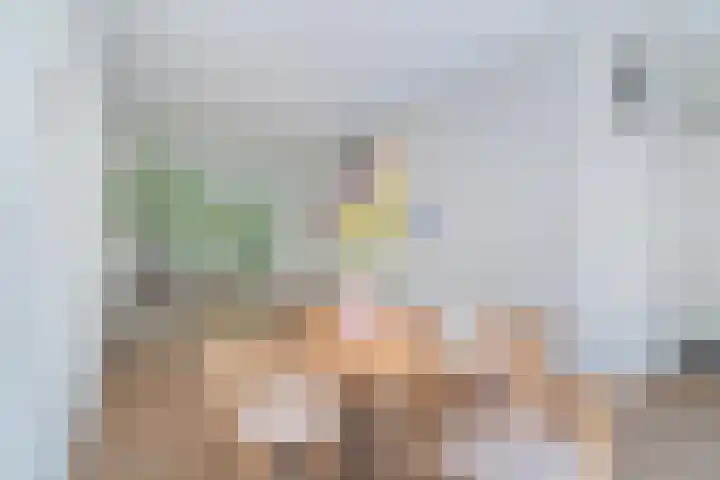 Jericholaan 56 B Rotterdam thumbnail 17