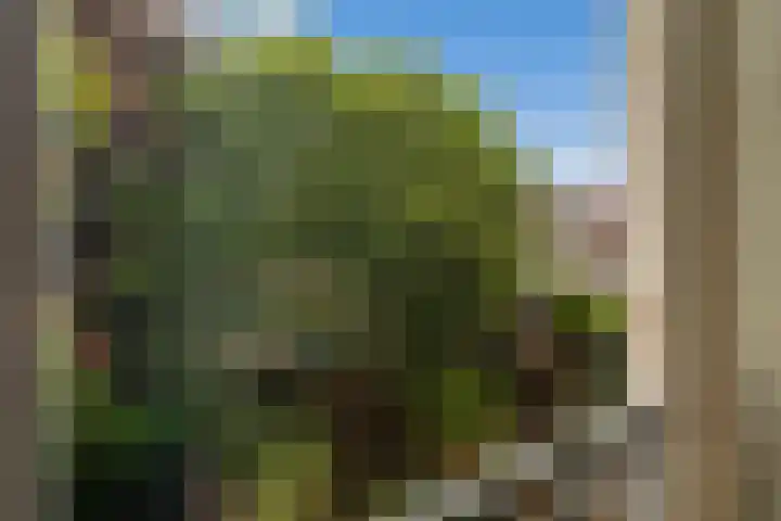 Jericholaan 56 B Rotterdam thumbnail 19