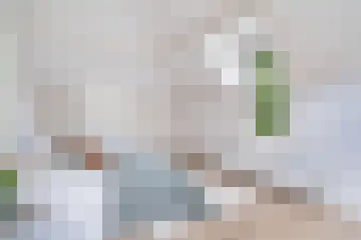 Jericholaan 56 B Rotterdam thumbnail 25