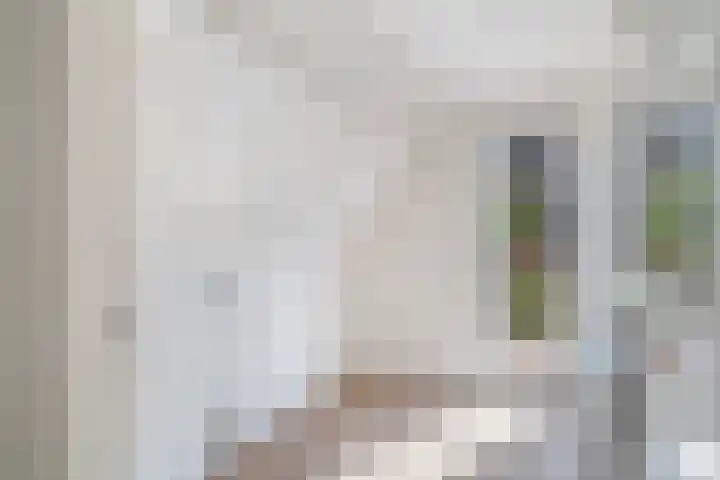 Jericholaan 56 B Rotterdam thumbnail 30