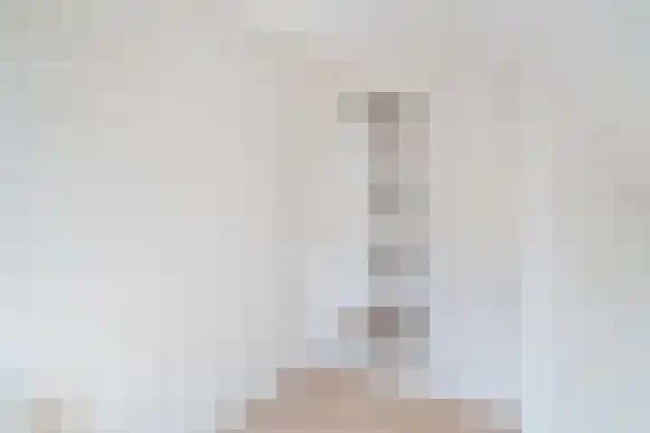 Jericholaan 56 B Rotterdam thumbnail 31