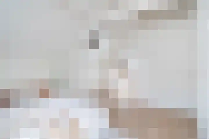 Jericholaan 56 B Rotterdam thumbnail 32