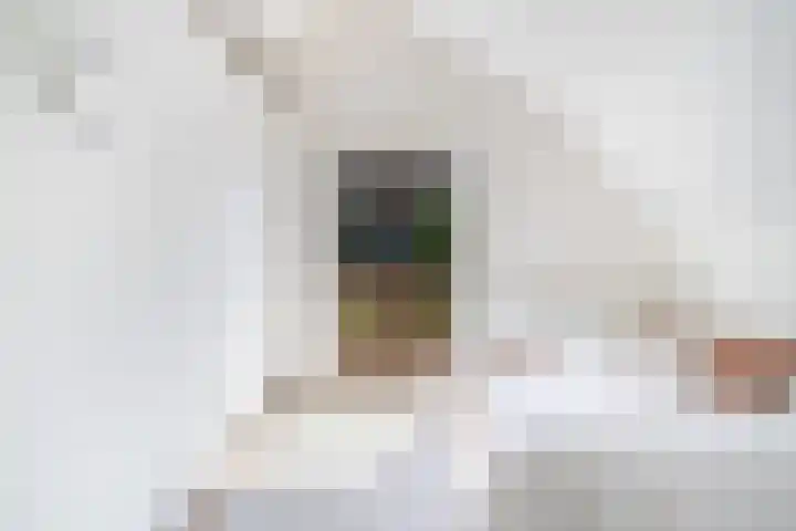 Jericholaan 56 B Rotterdam thumbnail 34