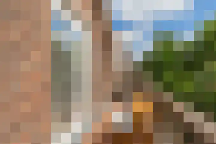 Jericholaan 56 B Rotterdam thumbnail 35