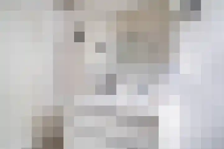 Jericholaan 56 B Rotterdam thumbnail 39
