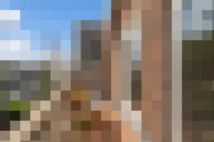 Jericholaan 56 B Rotterdam thumbnail 4