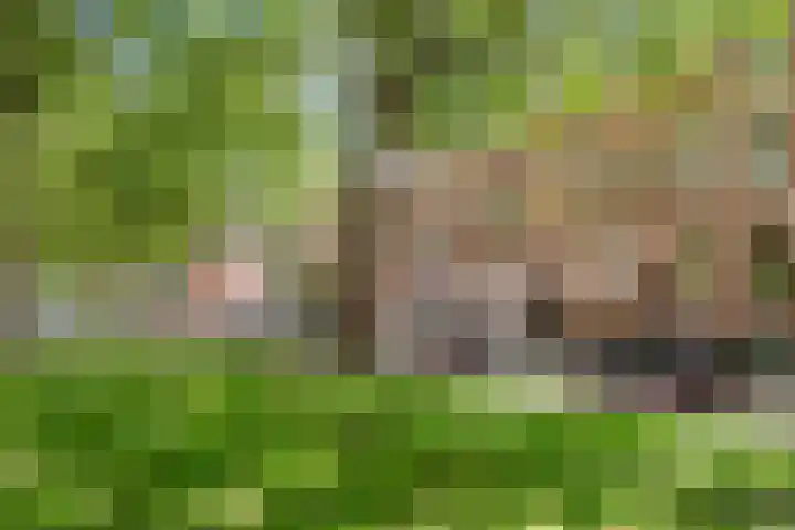 Jericholaan 56 B Rotterdam thumbnail 41