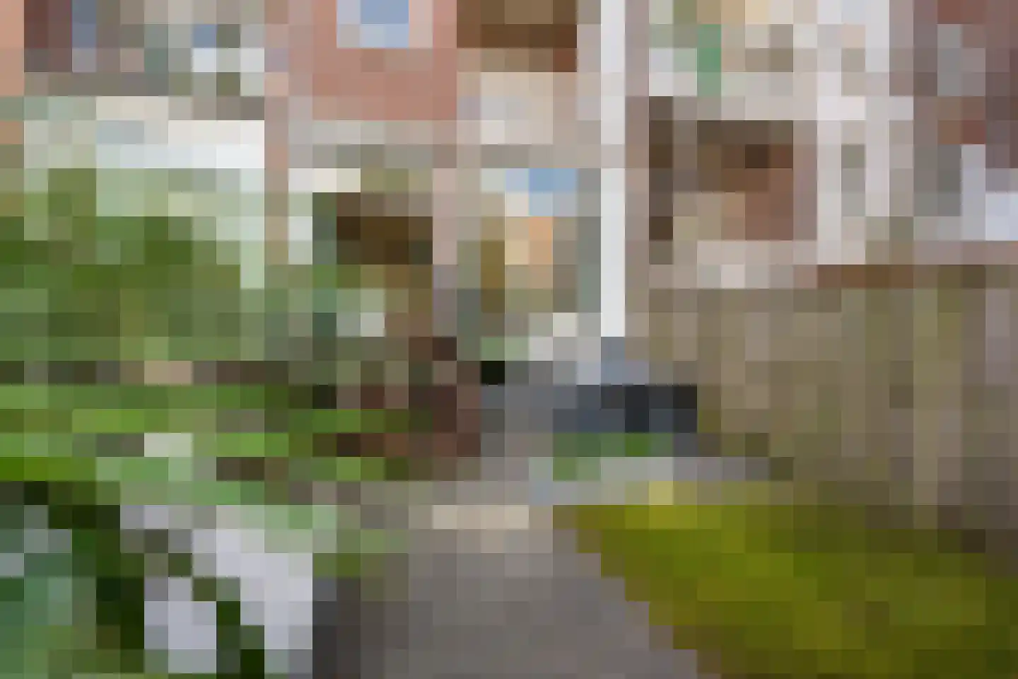 Jericholaan 57 A 01 Rotterdam thumbnail 11