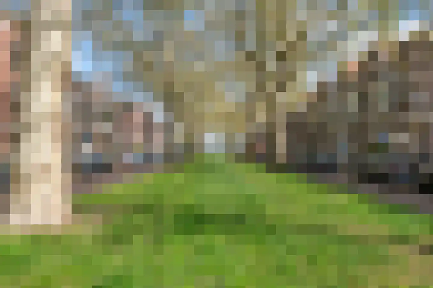 Jericholaan 57 A 01 Rotterdam thumbnail 27