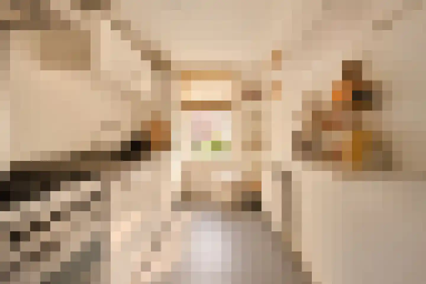 Jericholaan 59 A Rotterdam thumbnail 20