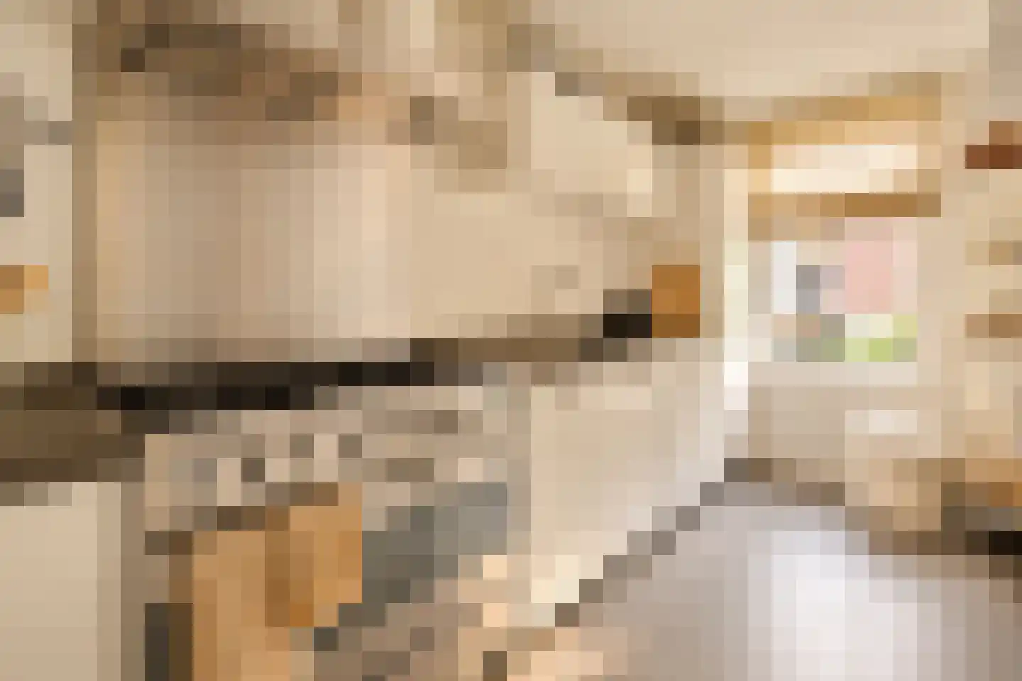 Jericholaan 59 A Rotterdam thumbnail 21