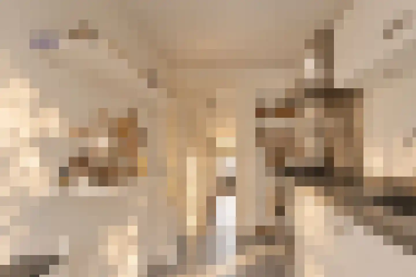 Jericholaan 59 A Rotterdam thumbnail 22