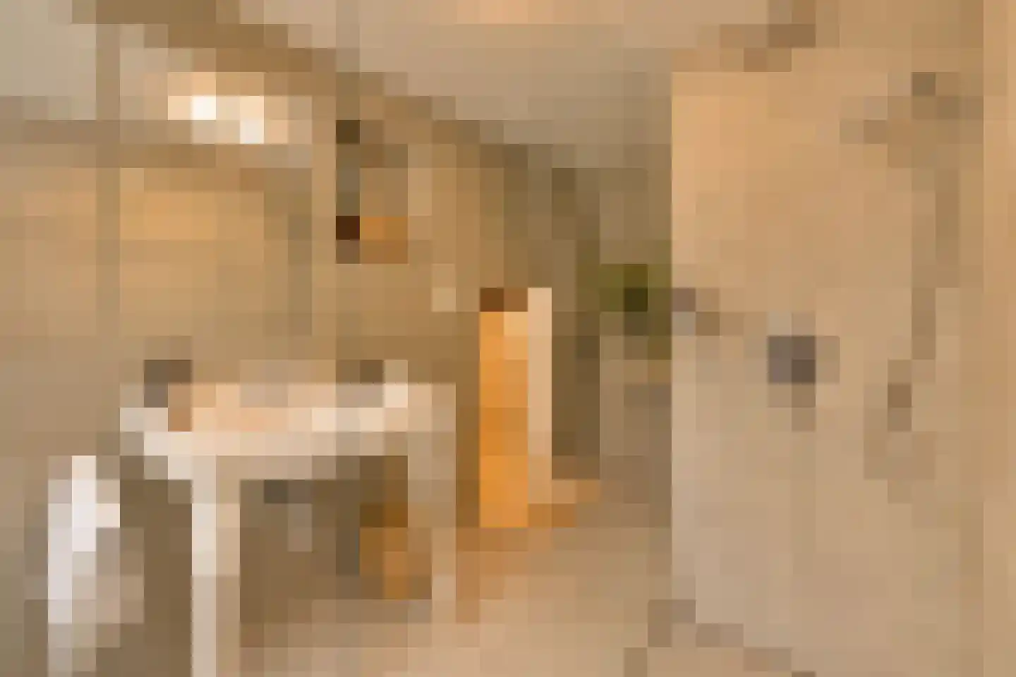 Jericholaan 59 A Rotterdam thumbnail 25