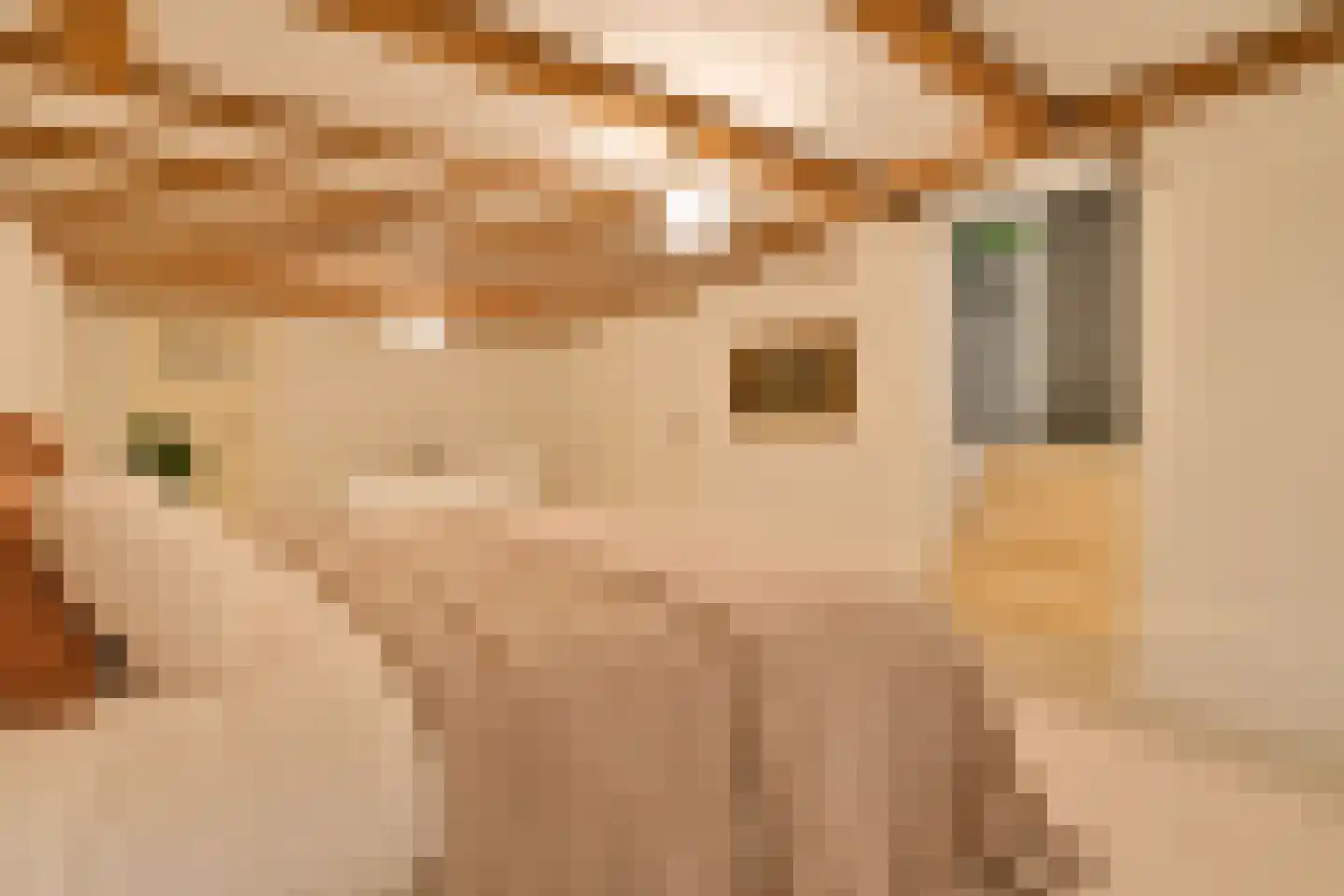 Jericholaan 59 A Rotterdam thumbnail 26