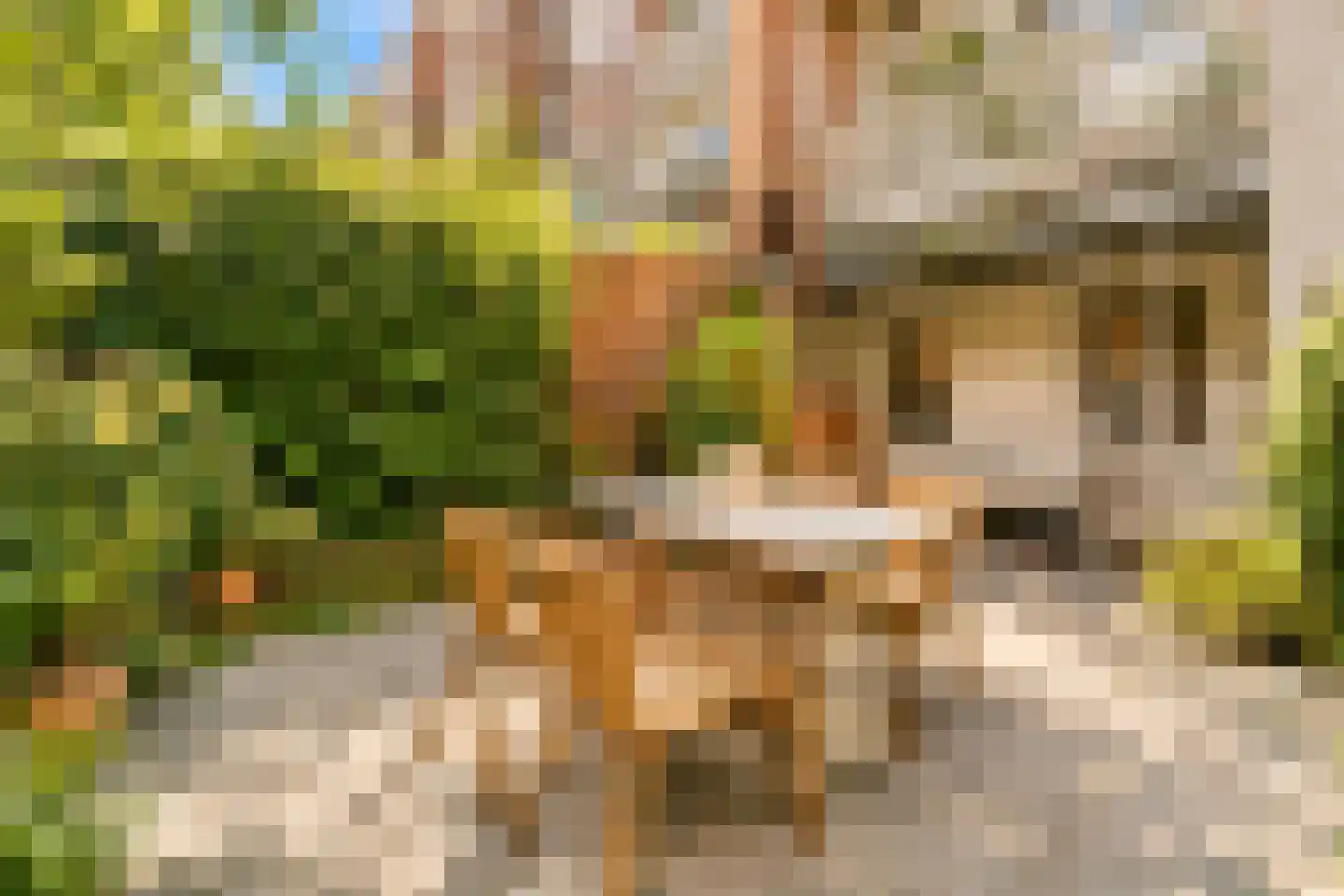Jericholaan 59 A Rotterdam thumbnail 33