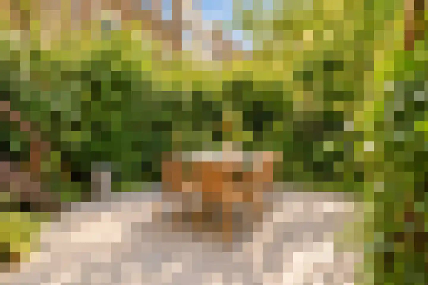 Jericholaan 59 A Rotterdam thumbnail 34