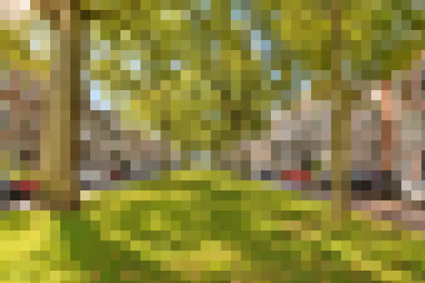 Jericholaan 59 A Rotterdam thumbnail 35