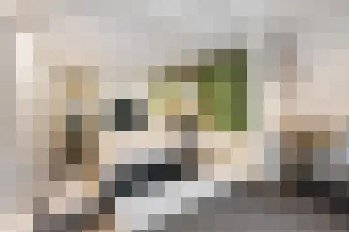 Jericholaan 77 B Rotterdam thumbnail 15