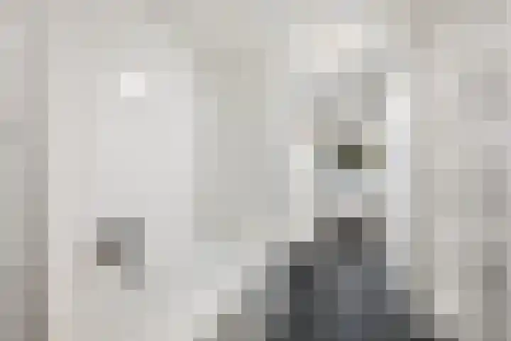Jericholaan 77 B Rotterdam thumbnail 24
