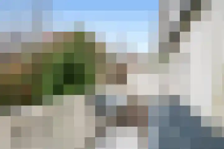 Jericholaan 77 B Rotterdam thumbnail 27