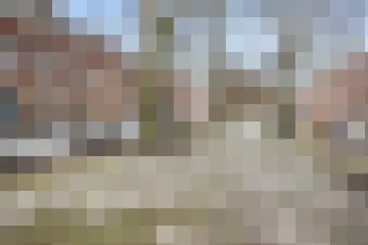 Jericholaan 77 B Rotterdam thumbnail 31