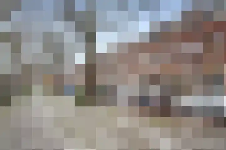 Jericholaan 77 B Rotterdam thumbnail 32