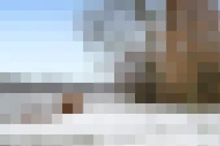 Jericholaan 77 B Rotterdam thumbnail 33