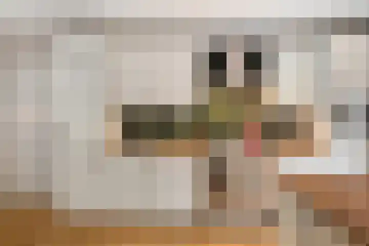 Jericholaan 77 B Rotterdam thumbnail 9