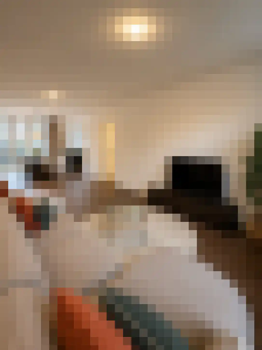 Jericholaan 78 Rotterdam thumbnail 4