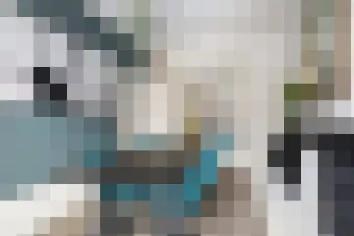 Jericholaan 79 Rotterdam thumbnail 11