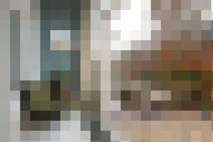 Jericholaan 79 Rotterdam thumbnail 13