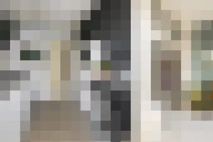 Jericholaan 79 Rotterdam thumbnail 16