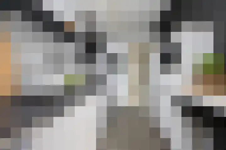 Jericholaan 79 Rotterdam thumbnail 17