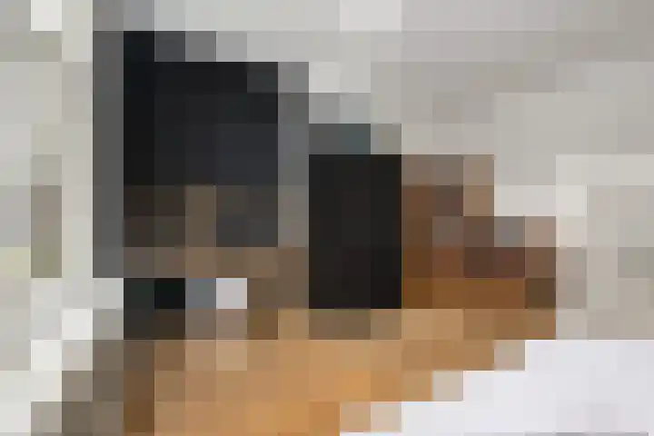 Jericholaan 79 Rotterdam thumbnail 21