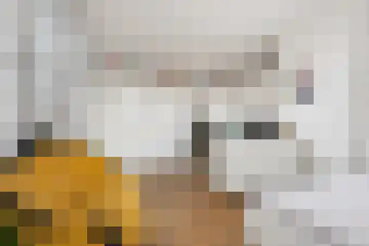 Jericholaan 79 Rotterdam thumbnail 23