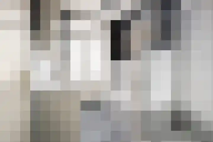 Jericholaan 79 Rotterdam thumbnail 25