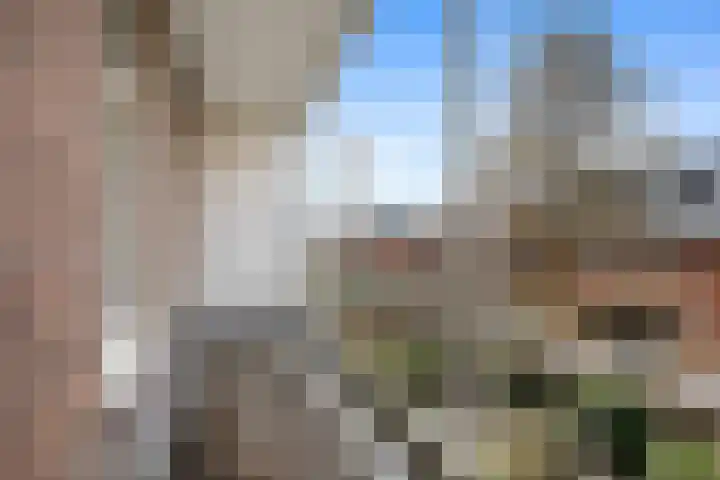 Jericholaan 79 Rotterdam thumbnail 27