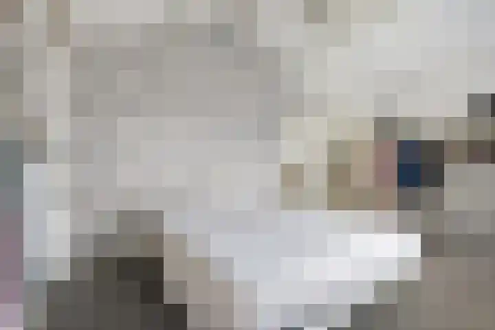 Jericholaan 79 Rotterdam thumbnail 28