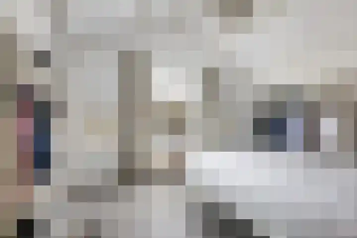 Jericholaan 79 Rotterdam thumbnail 29