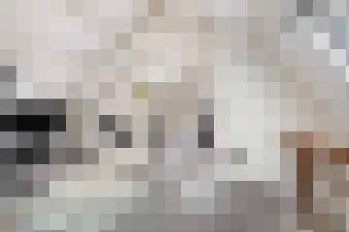Jericholaan 79 Rotterdam thumbnail 32