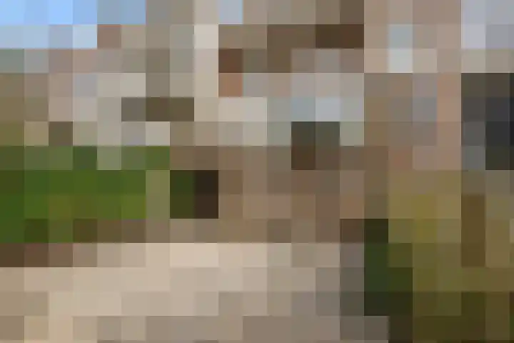 Jericholaan 79 Rotterdam thumbnail 36
