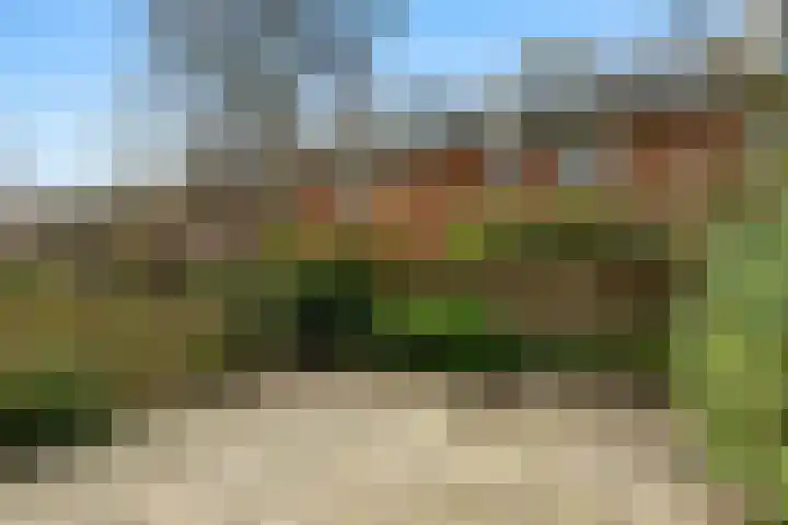 Jericholaan 79 Rotterdam thumbnail 37
