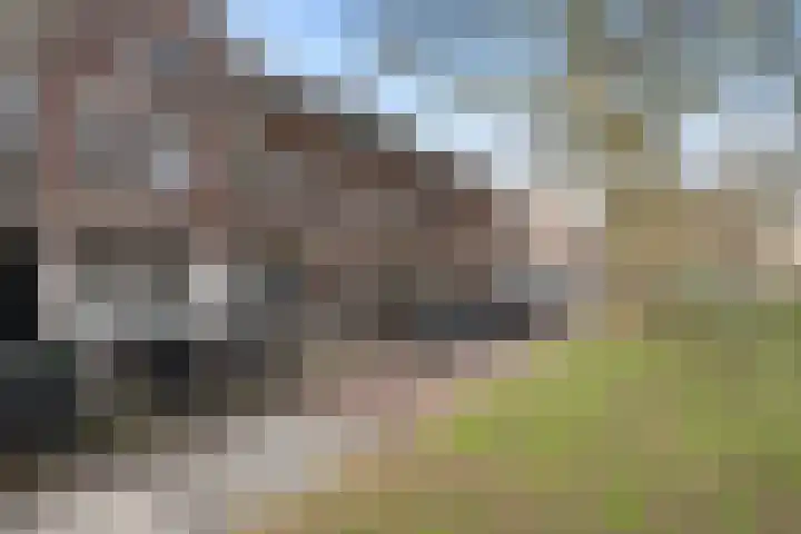 Jericholaan 79 Rotterdam thumbnail 40