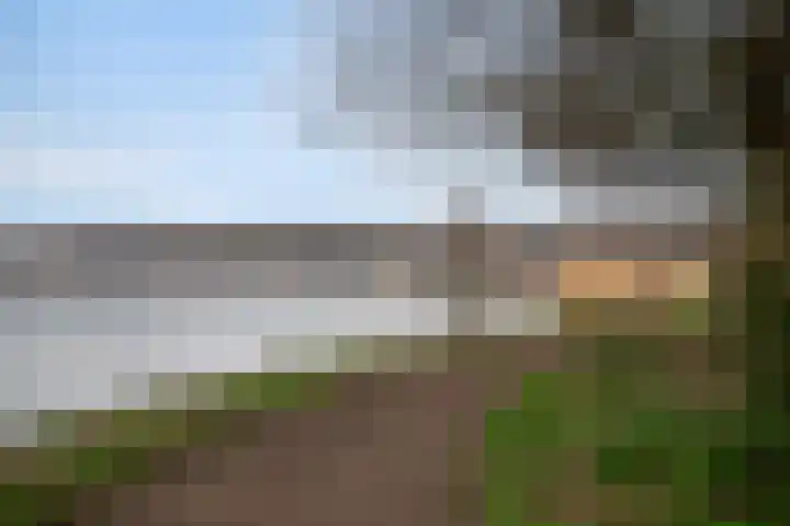 Jericholaan 79 Rotterdam thumbnail 42