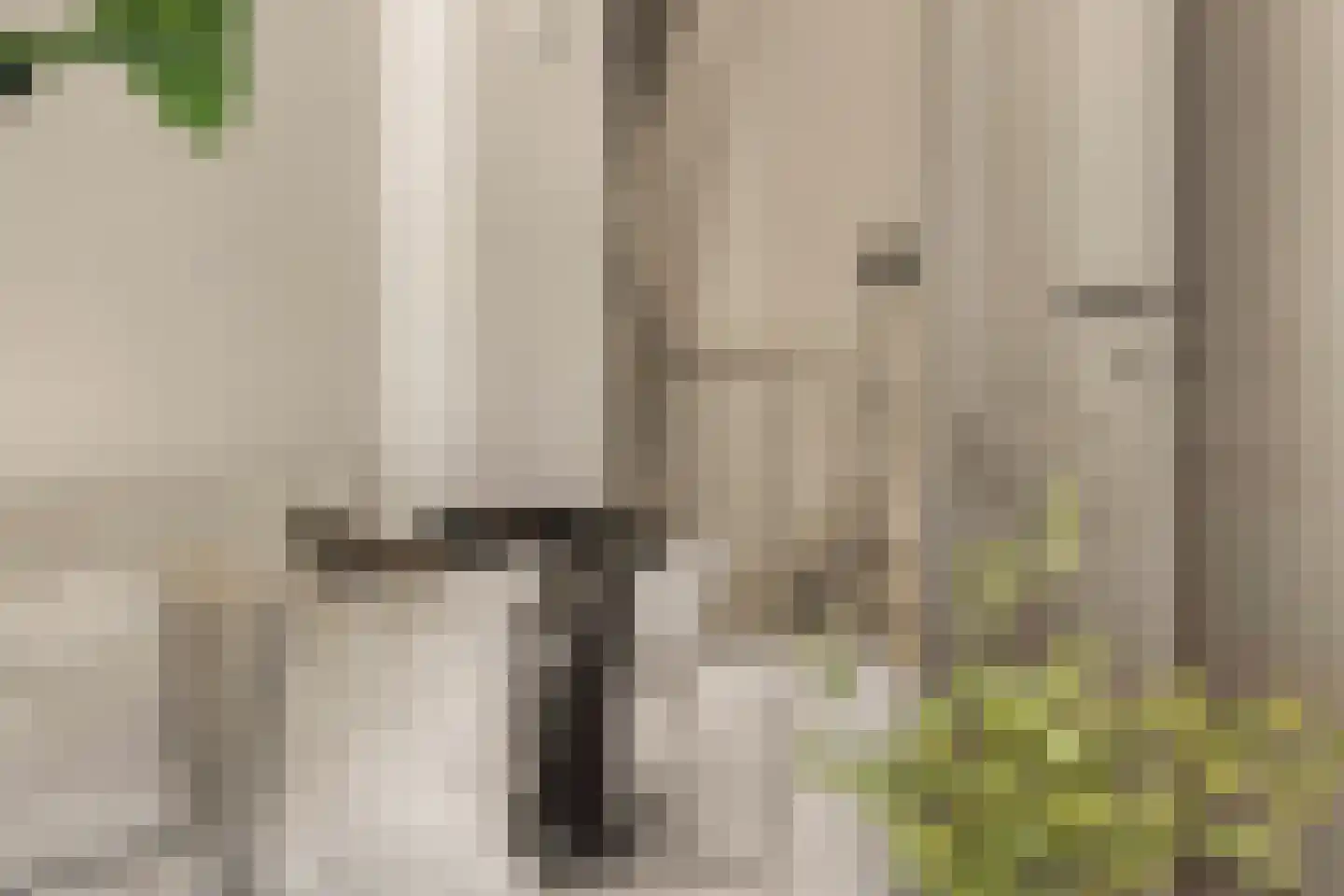 Jericholaan 82 A Rotterdam thumbnail 10