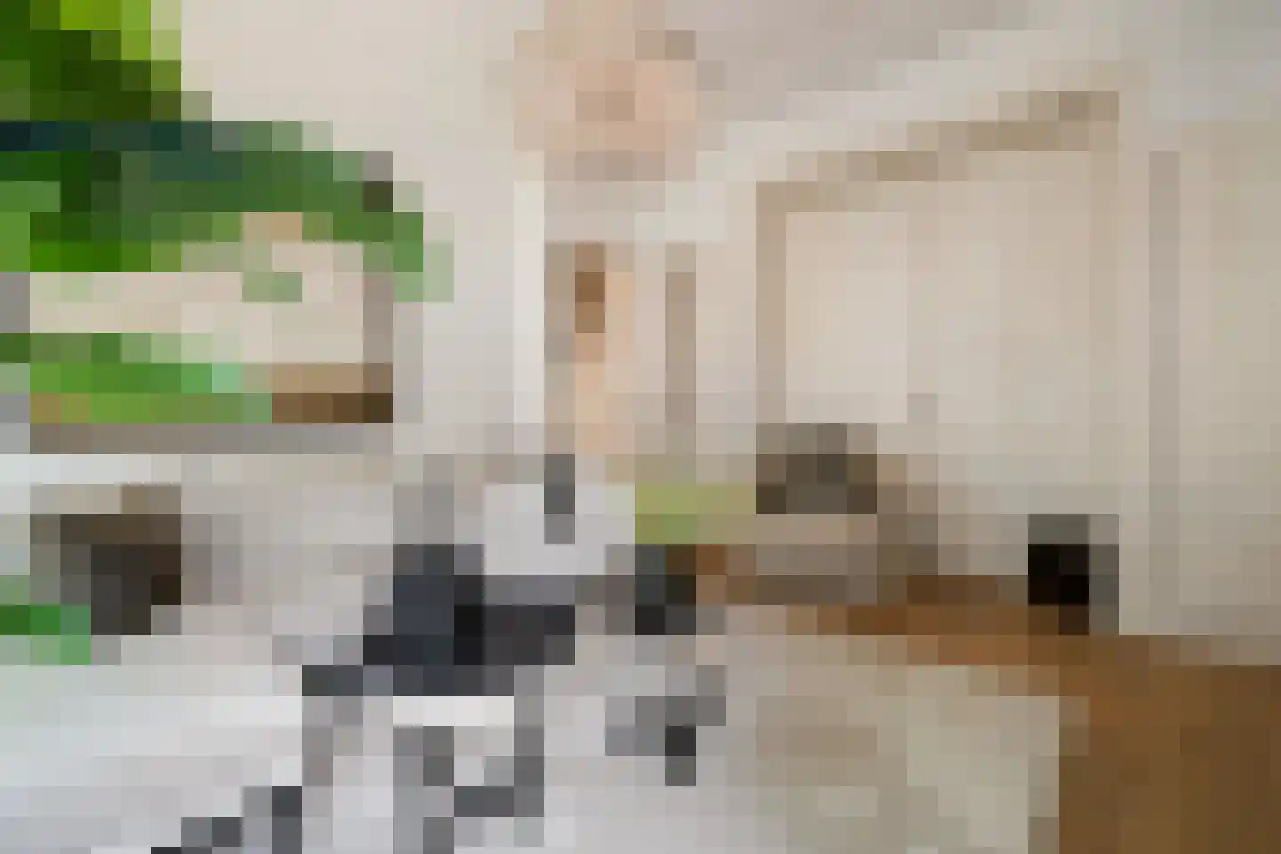Jericholaan 82 A Rotterdam thumbnail 11
